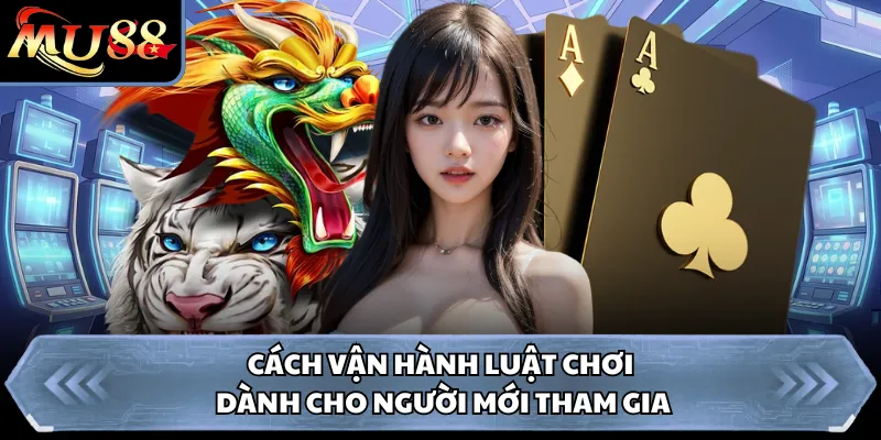Cách vận hành luật chơi dành cho người mới tham gia 