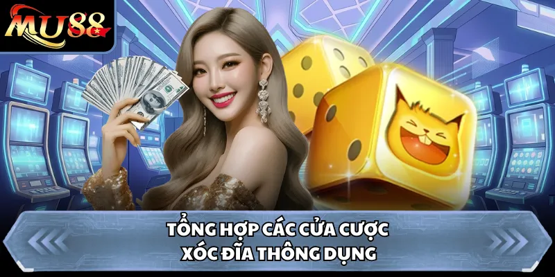 Tổng hợp các cửa cược xóc đĩa thông dụng
